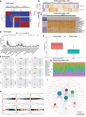 Identification of immunosuppressive signature subtypes and prognostic risk signatures in triple-negative breast cancer